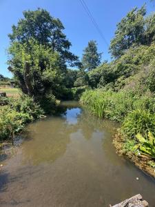 a river in the middle of a field with trees at Portbridge Nest in Chew Magna