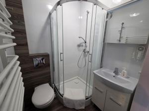 a bathroom with a shower and a toilet and a sink at Paradise in Jastarnia +153 photos
