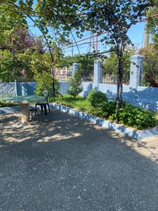A garden outside Vakho house