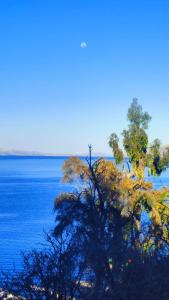 Fotografie z fotogalerie ubytování Hostal del Sol Isla del Sol v destinaci Isla de Sol