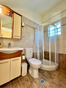 a bathroom with a toilet and a shower at Nomads in the south in Tsoutsouros