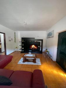 a living room with a couch and a fireplace at Private Pool River View Villa in Baião