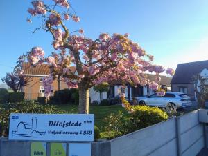 奥德纳尔德DHofstede vakantiewoning的树上满是粉红色花朵的树