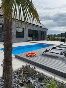 - une piscine avec un palmier à côté d'une maison dans l'établissement Villa IBIZA, à Śmiechów