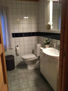 a bathroom with a toilet and a sink and a mirror at Welcome to Dalborg, only 1,5 hours from Oslo 
