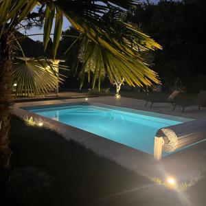 a swimming pool at night with a palm tree at Villa paisible à la campagne in Mazerolles