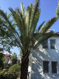 Fotografie z fotogalerie ubytování Günaydın Apart&House v destinaci Ortaca + 26 fotografií