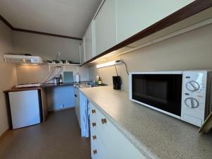 Dapur atau dapur kecil di Lofoten Light +30 gambar