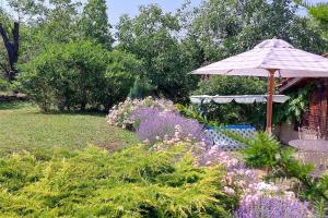 einen Garten mit Sonnenschirm und ein paar Blumen in der Unterkunft Bulgarian country house near the sea in Banya