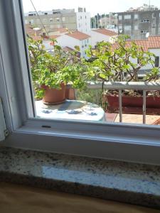 Balkón nebo terasa v ubytování Apartment Marina
