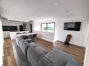a living room with a couch and a television at Casa de Santa Luzia in Vila Praia de Âncora