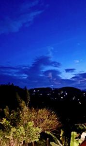 게스트하우스 주변 자연 경관