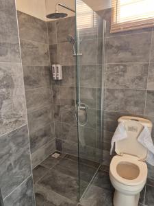 a bathroom with a toilet and a glass shower at Honey studio in Rivière Noire