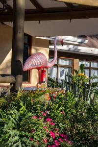 Billede fra billedgalleriet på Naivasha Crescent Lodge i Naivasha