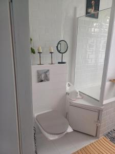 Un baño blanco con inodoro y espejo. en Zacisze Pod Nikiszem, en Katowice 11 fotos más
