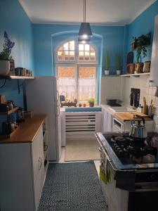 cocina azul con fogones y ventana en Zacisze Pod Nikiszem, en Katowice