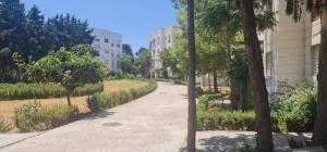 an empty street in a city with trees and buildings at appartement forêt diplomatique in Tangier