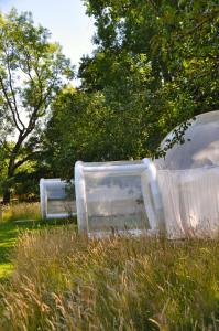Un jardín fuera de Noortweghe GLAMPING