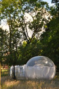 Un jardín fuera de Noortweghe GLAMPING