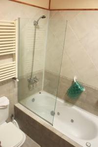 Ένα μπάνιο στο Apart Hotel Tierra Nativa +34 φωτογραφίες