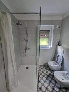 a bathroom with a shower and a toilet and a sink at Vipava Valley Stay - Apartment Miki - With Patio, Parking & Pets OK in Ajdovščina +6 photos