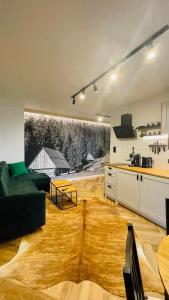 ムジャシフレにあるApartament u Jagi Sądelska 119fのリビングルーム(緑のソファ付)、キッチンが備わります。