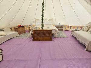 a marquee with a purple carpet in a tent at Bovey Heath Retreat in Bovey Tracey