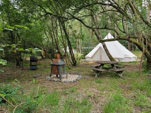 a tent and a picnic table in a forest at Bovey Heath Retreat in Bovey Tracey