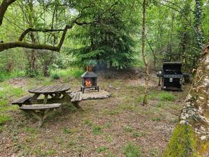 a picnic table and a grill in the woods at Bovey Heath Retreat in Bovey Tracey +22 photos