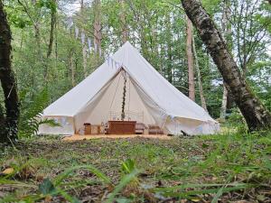 a white tent with a bench in a forest at Bovey Heath Retreat in Bovey Tracey