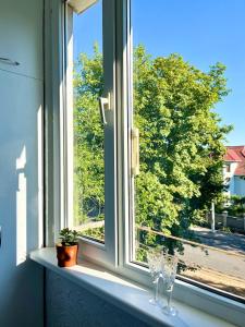 una ventana con dos copas de vino en el alféizar de la ventana en Lake Park Apartment, en Chişinău