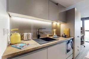Gallery image of Student Only, Bronze Studio Lower Level Ealing Residence in London