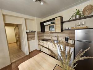 a kitchen with a stainless steel refrigerator and wooden cabinets at Nidos centras -Taikos g in Nida