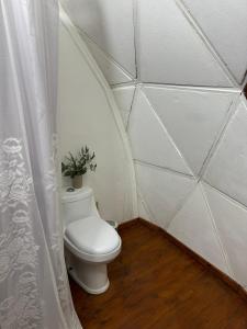 a bathroom with a toilet with a plant on it at Glamping il Tramonto in Villa Amancay +18 photos