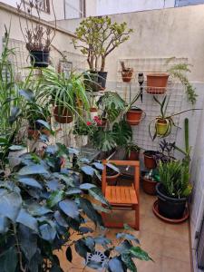 Zahrada ubytování Apartamento Acequia Aljada
