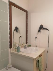 Un baño con lavabo, espejo e inodoro. en K a Z - L'Ara Bleu, en Saint-Denis