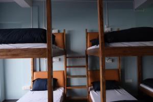 Palanda nebo palandy na pokoji v ubytování Tara Circle Hostel