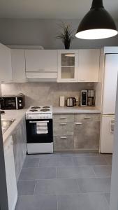Η κουζίνα ή μικρή κουζίνα στο Apartament Säärijarventie 22