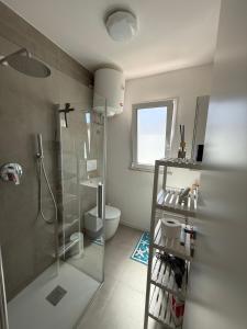 a bathroom with a shower and a toilet at Camilla Lipari House - Canneto in Lipari