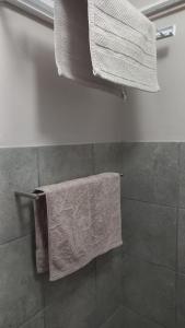 a bathroom with towels hanging on a shower at 'The Cape Robin' studio apartment in Hoheizen +18 photos