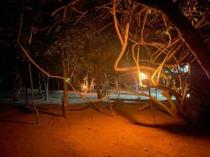 Fotografie z fotogalerie ubytování Yala Jungle Haven v destinaci Yala