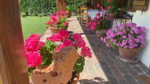 Ogród w obiekcie Excepcional Casa El Olivo
