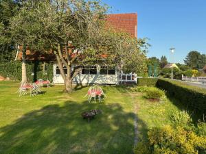 a yard with chairs and a tree and a building at Gasthaus zur Grenze Zeltplatz in Cuxhaven