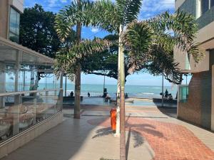 una palmera en una acera junto a una playa en Studio a 400m da praia, en Guarapari