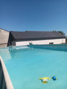 a large swimming pool with two fish in the water at Gîte des capucines in Plougonvelin
