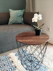 a coffee table with a plant on top of a rug at Stunning Wörthersee Holiday Home 16 in Sekull
