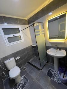 a bathroom with a toilet and a sink at Pyramids Elsewedy home in Ghaţāţī