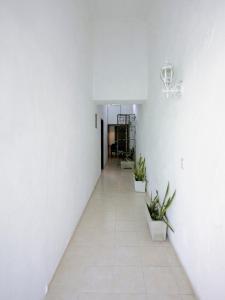 Gallery image ng Casa Kaity 1 block from downtown sa Valladolid
