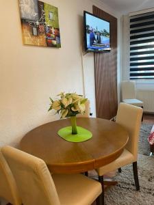 TV a/nebo společenská místnost v ubytování Zigana Apartments