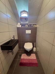 a small bathroom with a toilet and a sink at Casa Del Lago in Jablanica